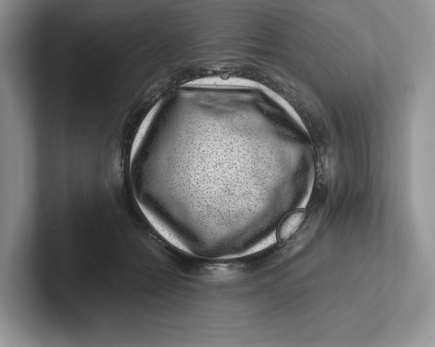 X0000101710558200807311454