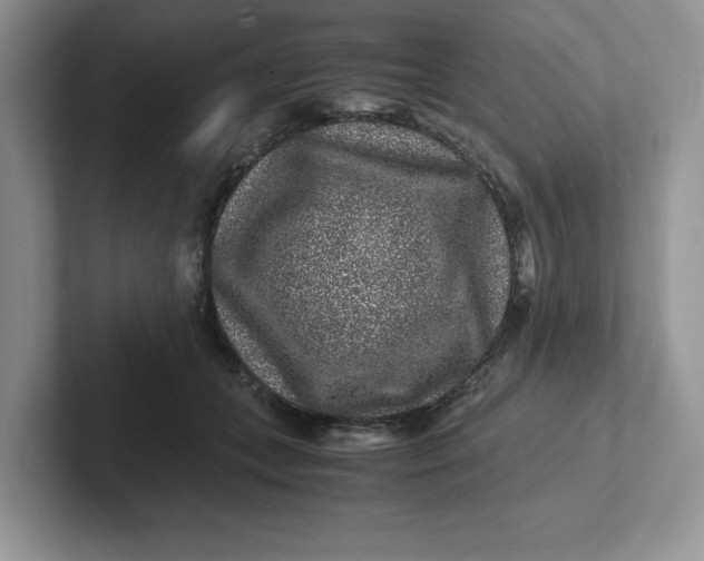 X0000101710559200807311454