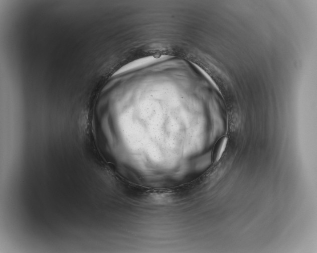 X0000101710560200807311454