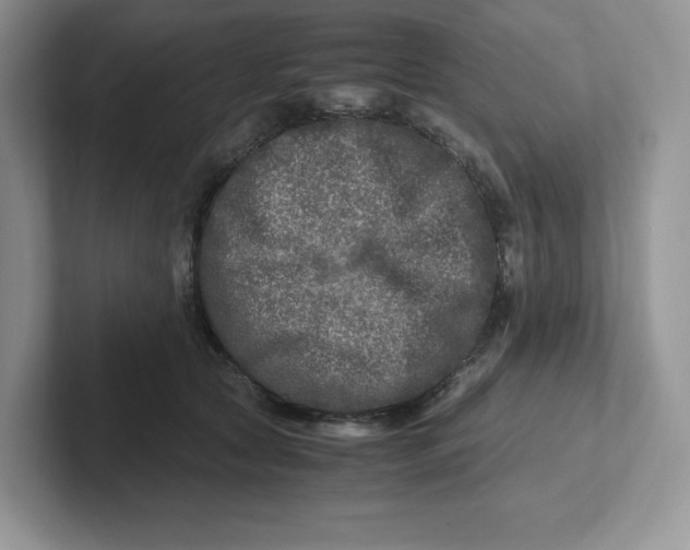 X0000101710561200807311454