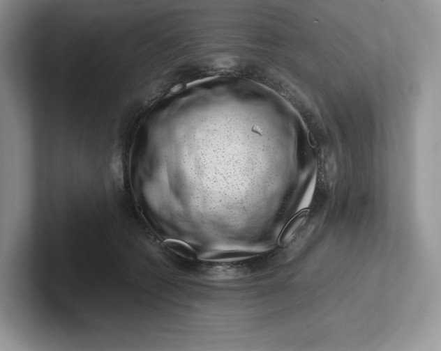 X0000101710562200807311454