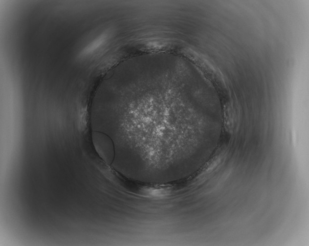 X0000101710563200807311454