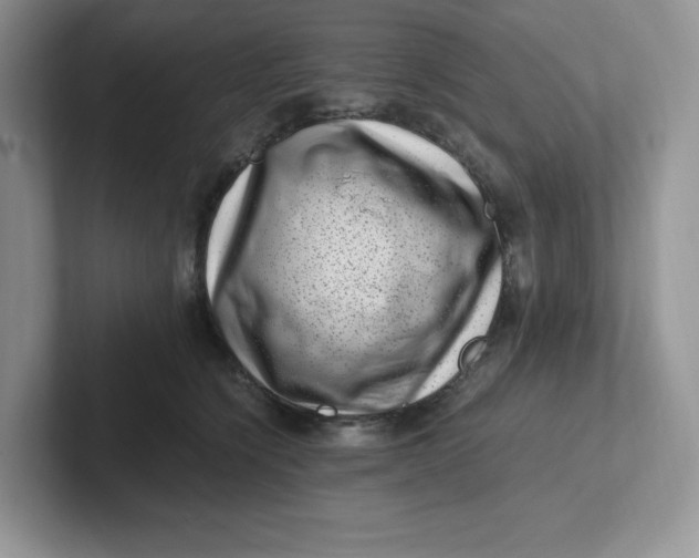 X0000101710564200807311454