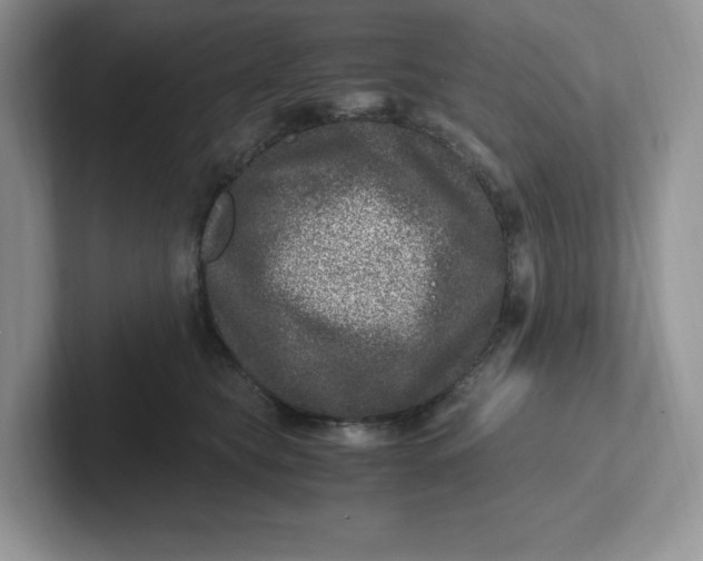 X0000101710565200807311454