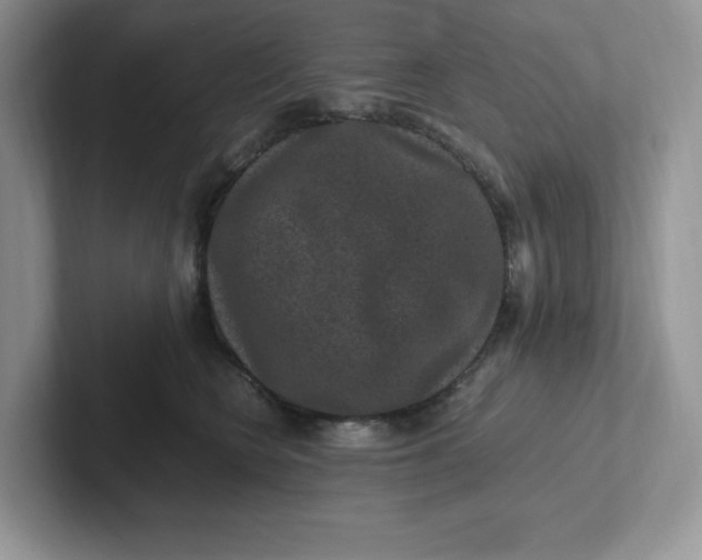 X0000101710566200807311454