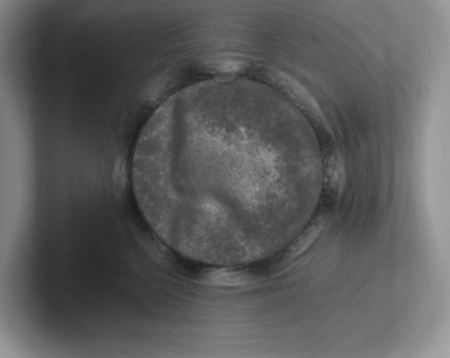 X0000101710568200807311454