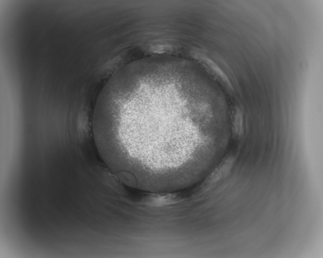 X0000101710569200807311454