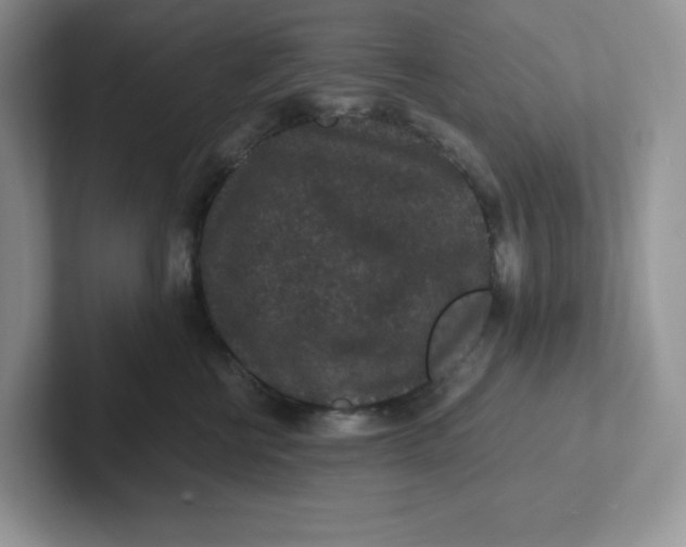 X0000101710570200807311454