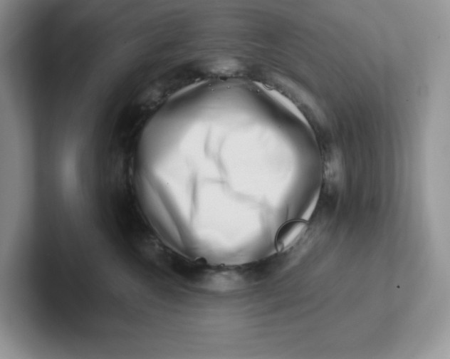 X0000101710572200807311454