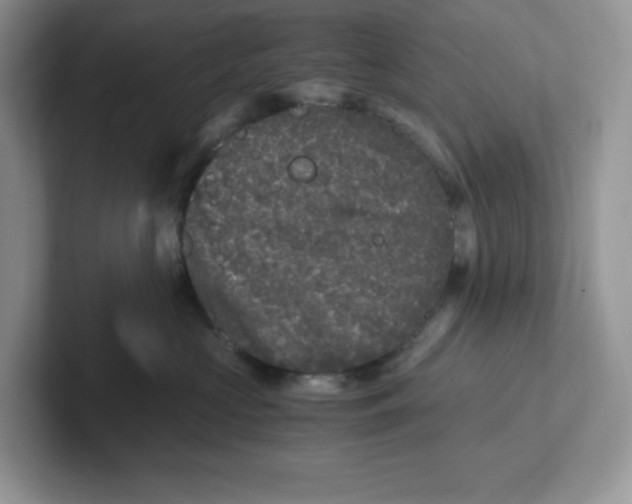 X0000101710573200807311454