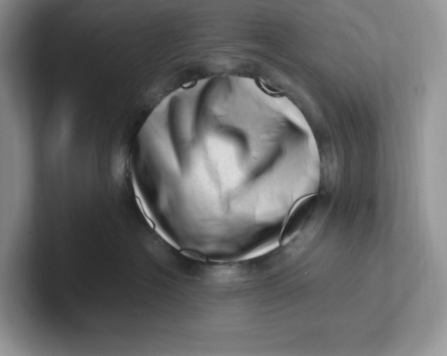 X0000101710574200807311454