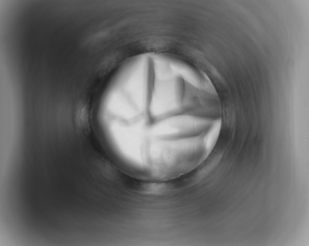 X0000101710575200807311454