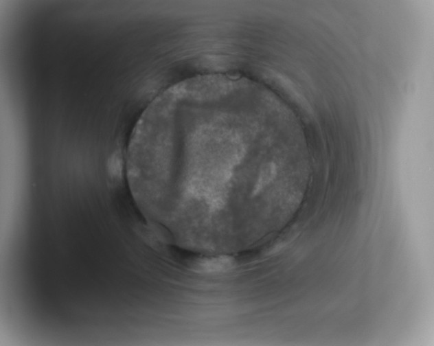 X0000101710576200807311454