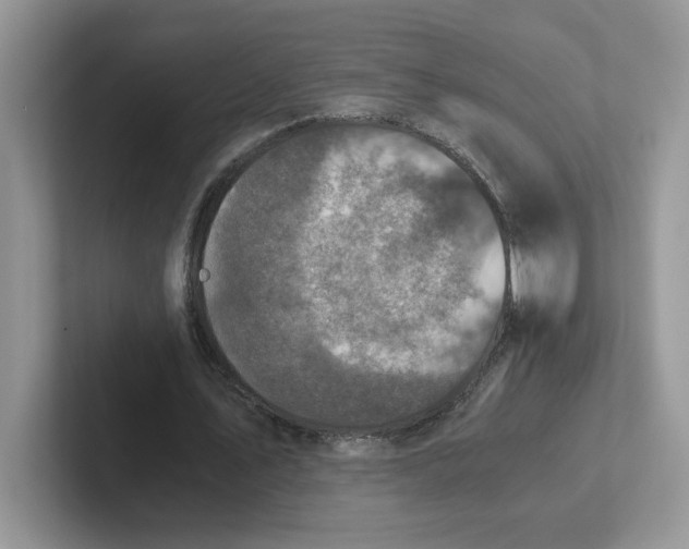 X0000101710579200807311453