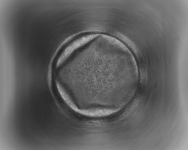 X0000101710580200807311453