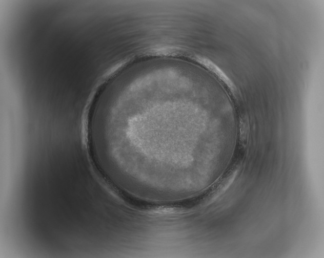 X0000101710581200807311453