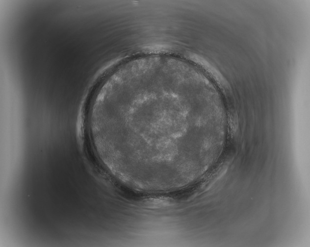 X0000101710583200807311453