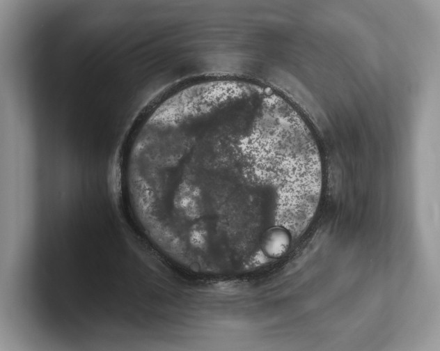 X0000101710584200807311453