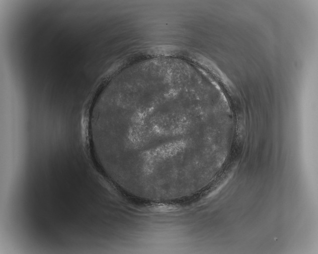 X0000101710585200807311453