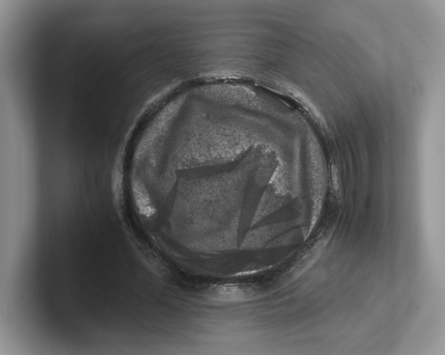 X0000101710588200807311453