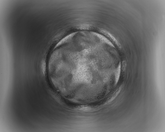 X0000101710589200807311453