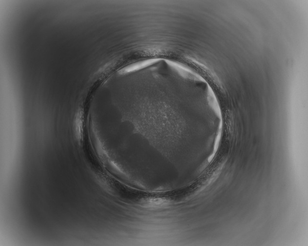 X0000101710590200807311453