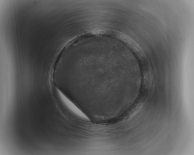 X0000101710592200807311453