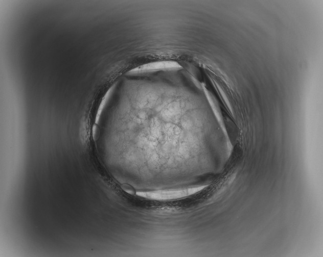 X0000101710593200807311453