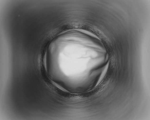 X0000101710594200807311453