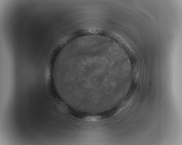 X0000101710595200807311453