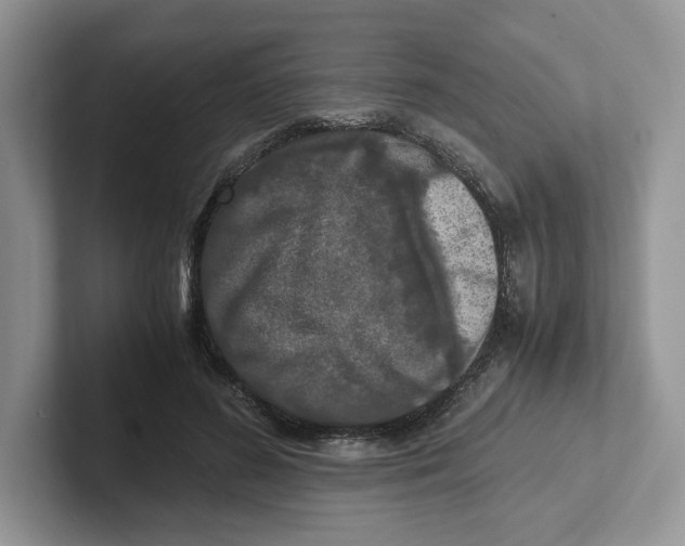 X0000101710596200807311453