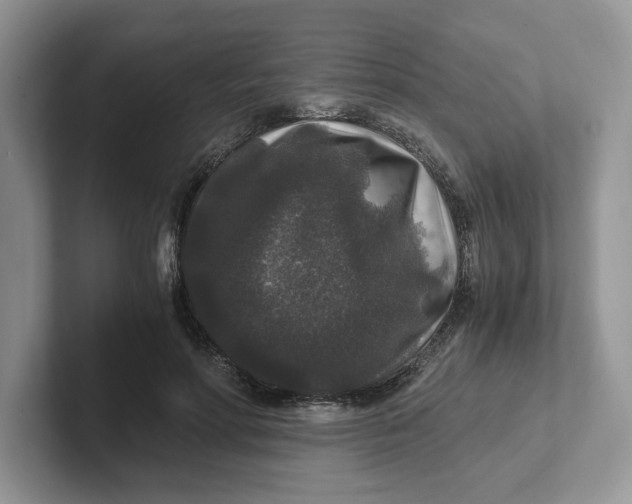 X0000101710598200807311453