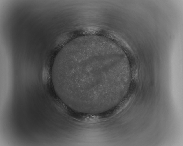 X0000101710599200807311453