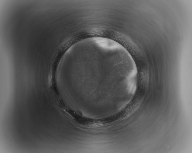 X0000101710600200807311453