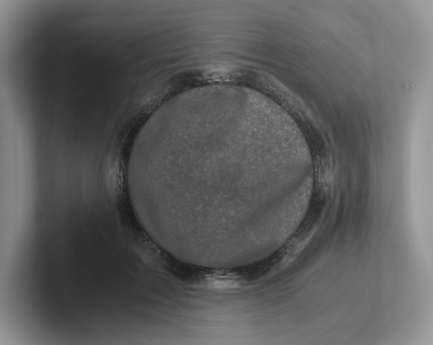 X0000101710603200807311453