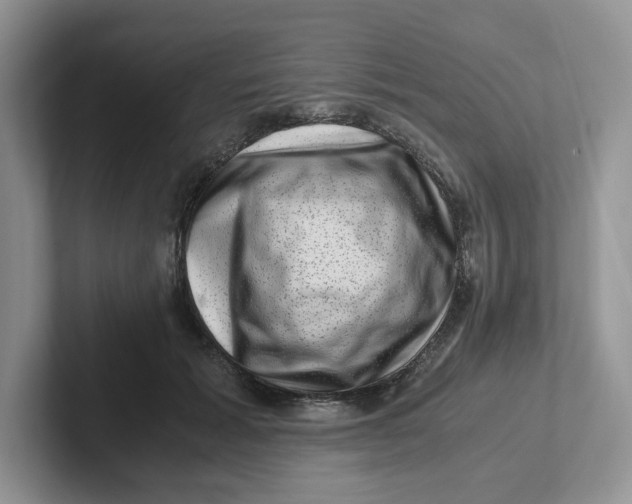 X0000101710605200807311453