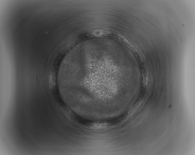 X0000101710606200807311453