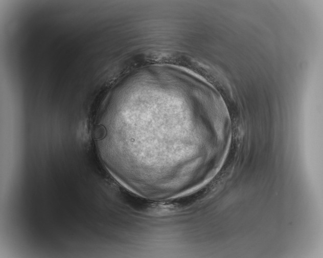 X0000101710607200807311453