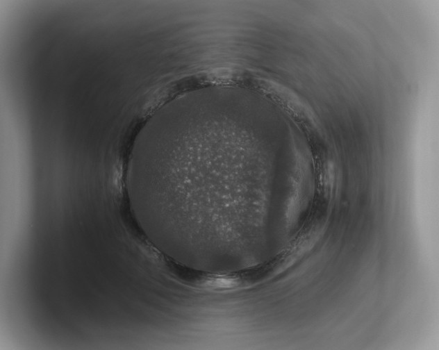 X0000101710610200807311453