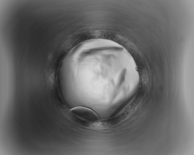 X0000101710611200807311453