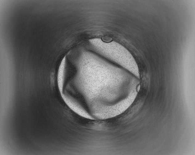 X0000101710612200807311453