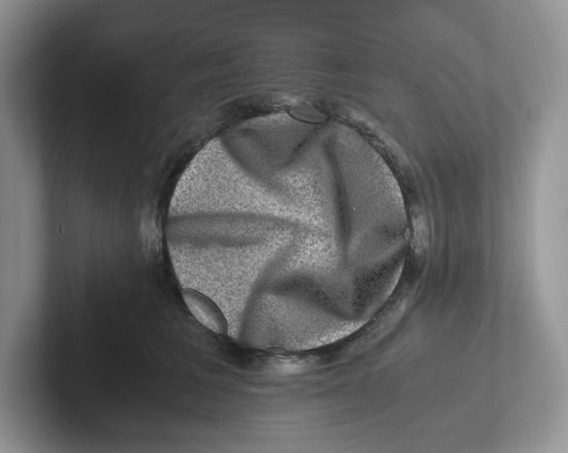 X0000101710613200807311453