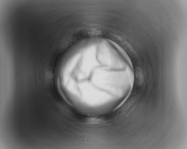 X0000101710614200807311453