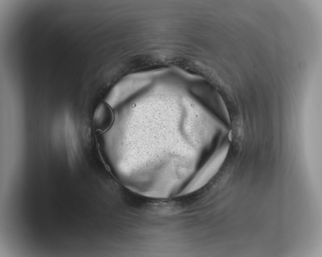 X0000101710615200807311453