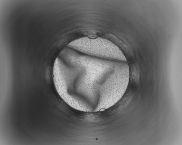 X0000101710616200807311453