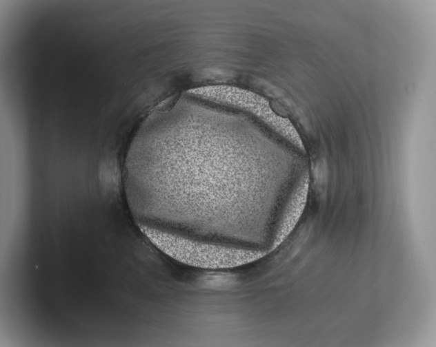 X0000101710617200807311453