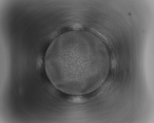 X0000101710618200807311453