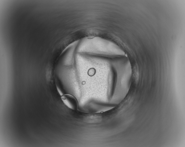 X0000101710619200807311453