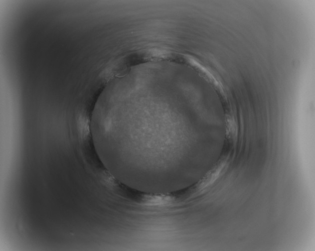 X0000101710621200807311453