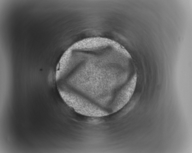 X0000101710624200807311453